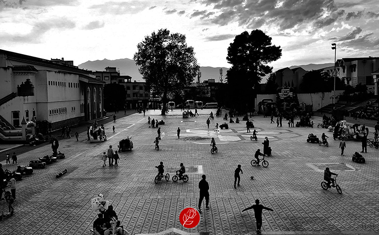 Şairin Tanıklığı