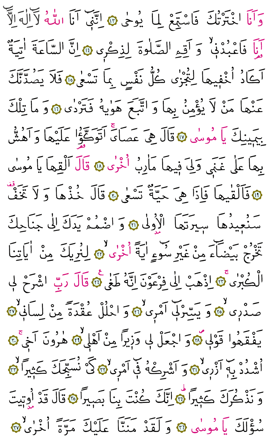 Taha Suresi 16. Cüz - 312. Sayfa