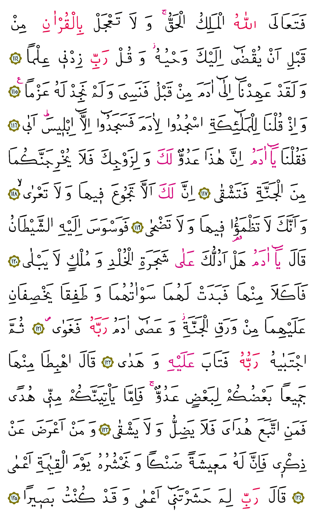 Taha Suresi 16. Cüz - 319. Sayfa