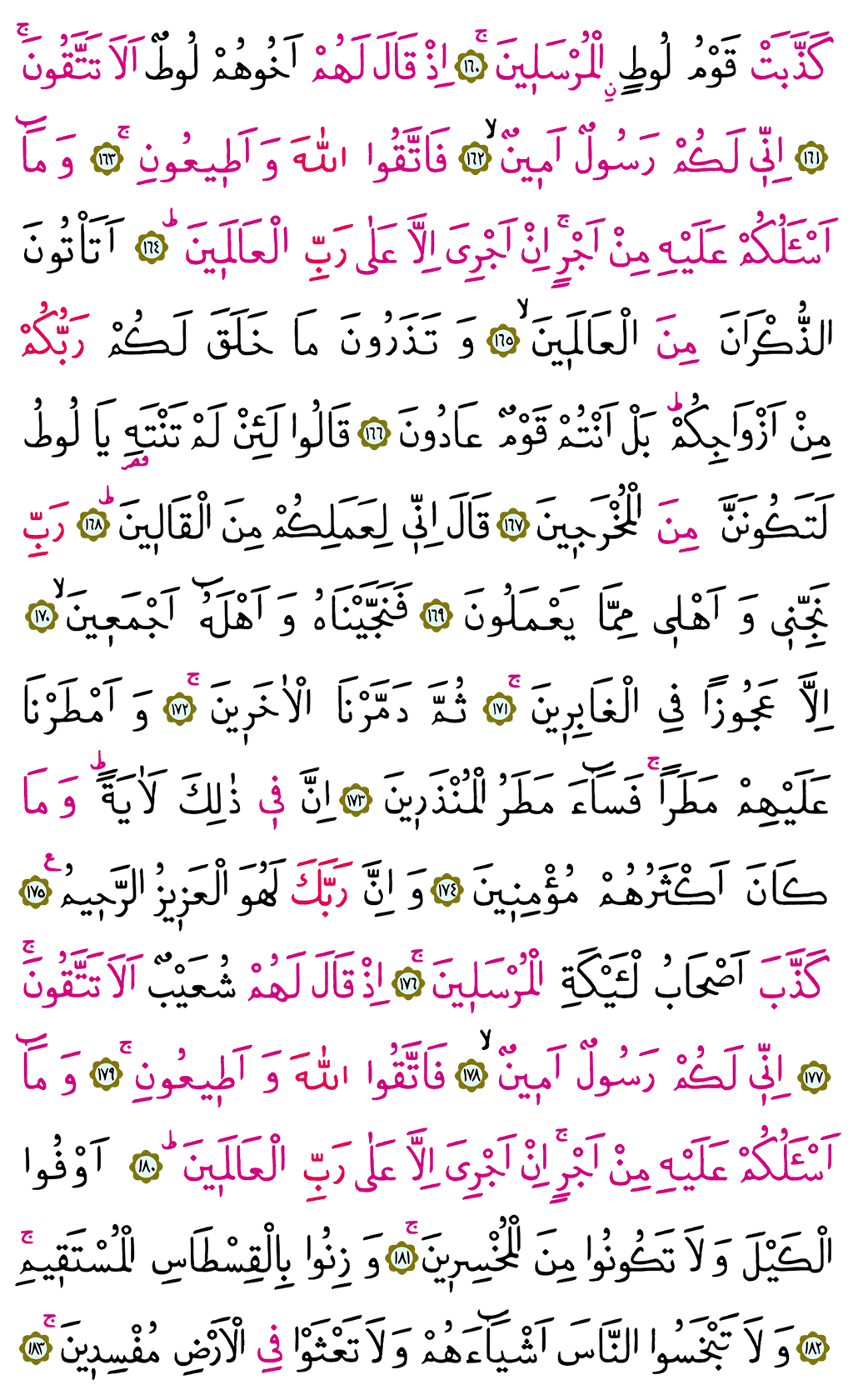 Şuara Suresi 19. Cüz - 373. Sayfa