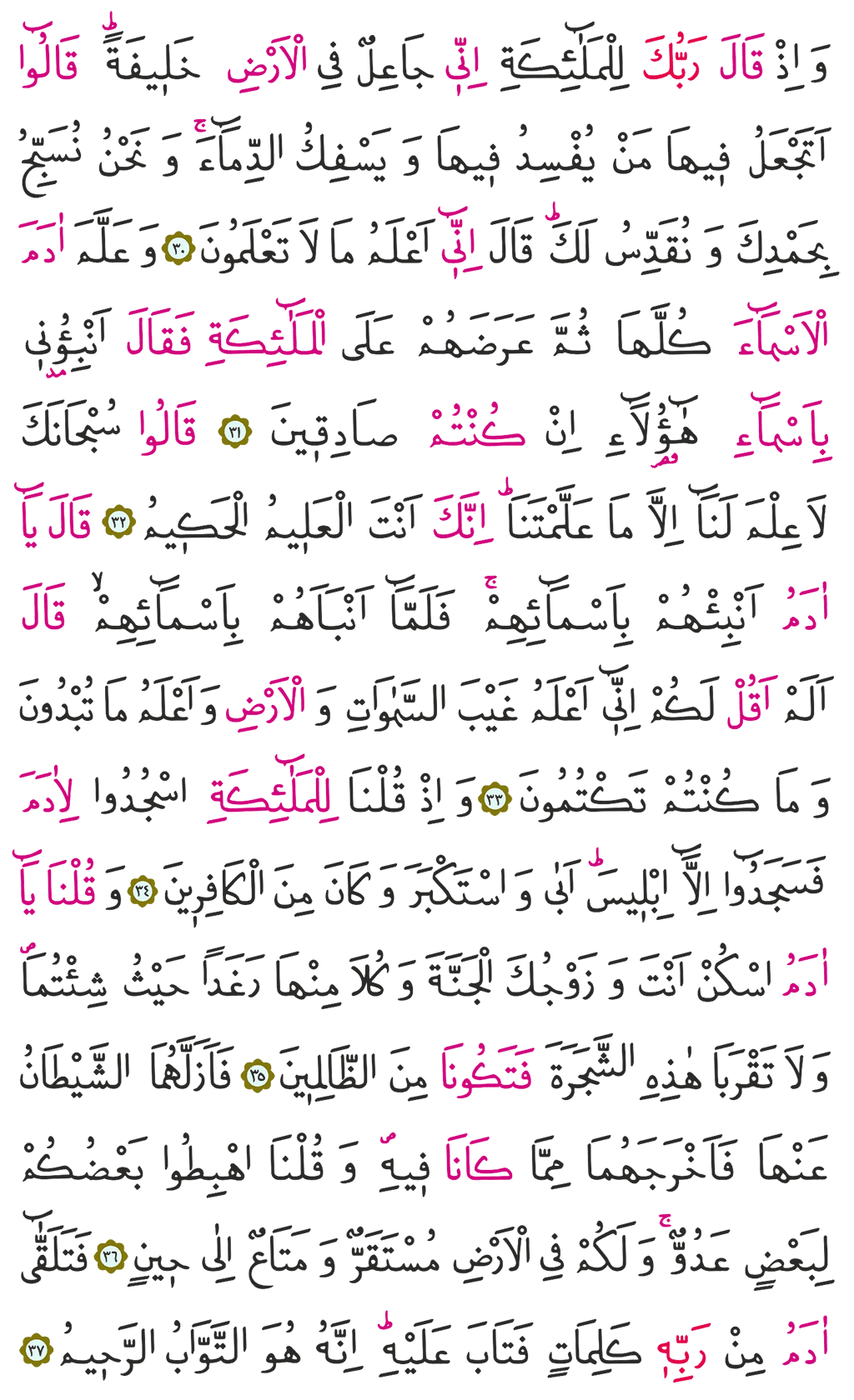 Bakara Suresi 1. Cüz - 5. Sayfa