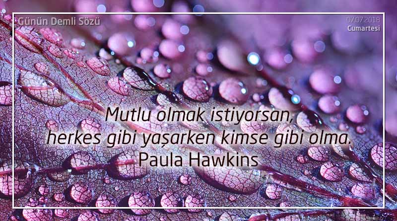 Mutlu olmak istiyorsan, herkes gibi yaşarken kimse gibi olma. - Paula Hawkins