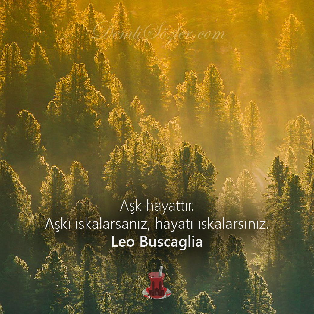 Aşk hayattır. Aşkı ıskalarsanız hayatı ıskalarsınız. - Leo Buscaglia