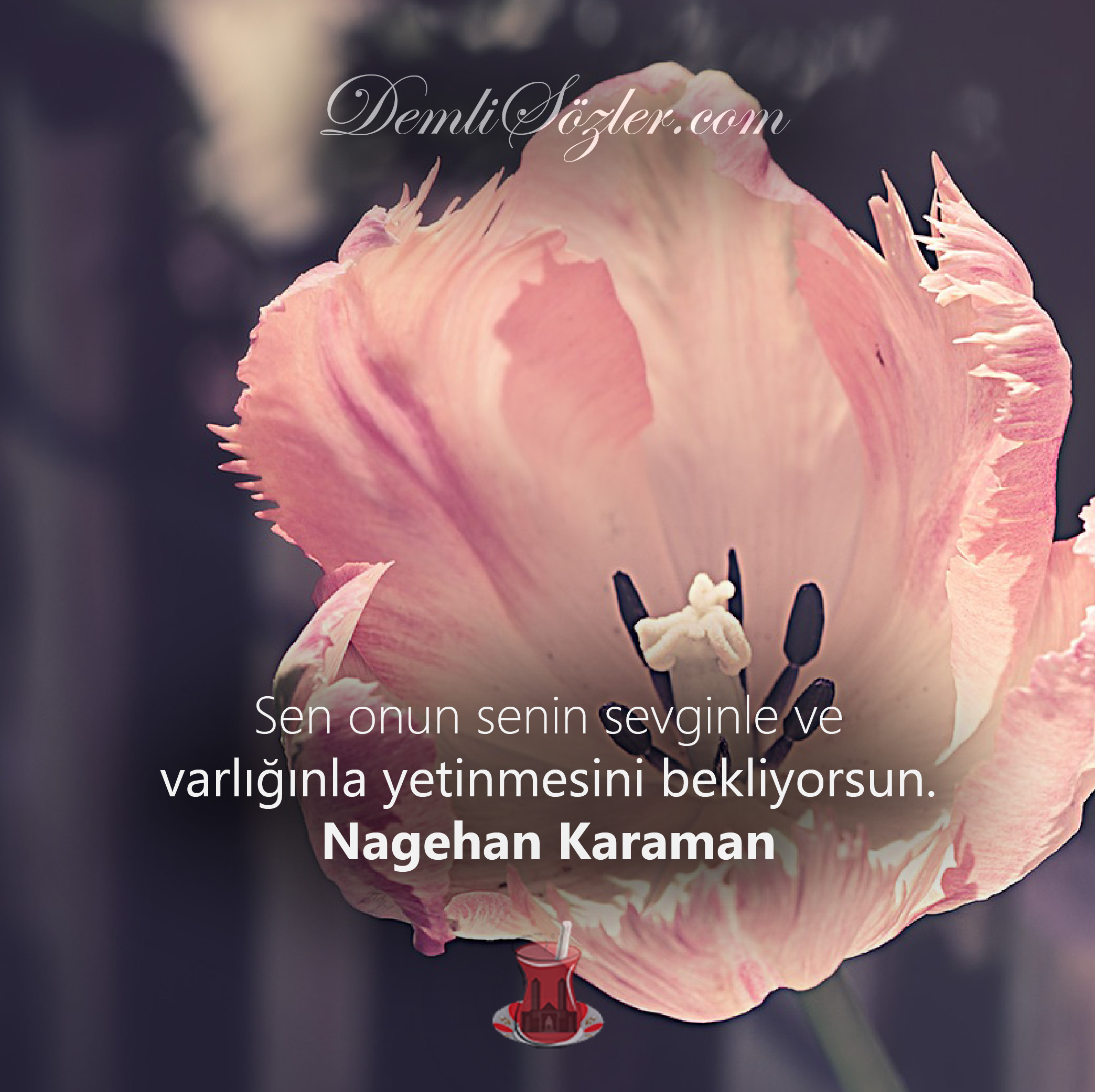 Sen onun senin sevginle ve varlığınla yetinmesini bekliyorsun. - Nagehan Karaman