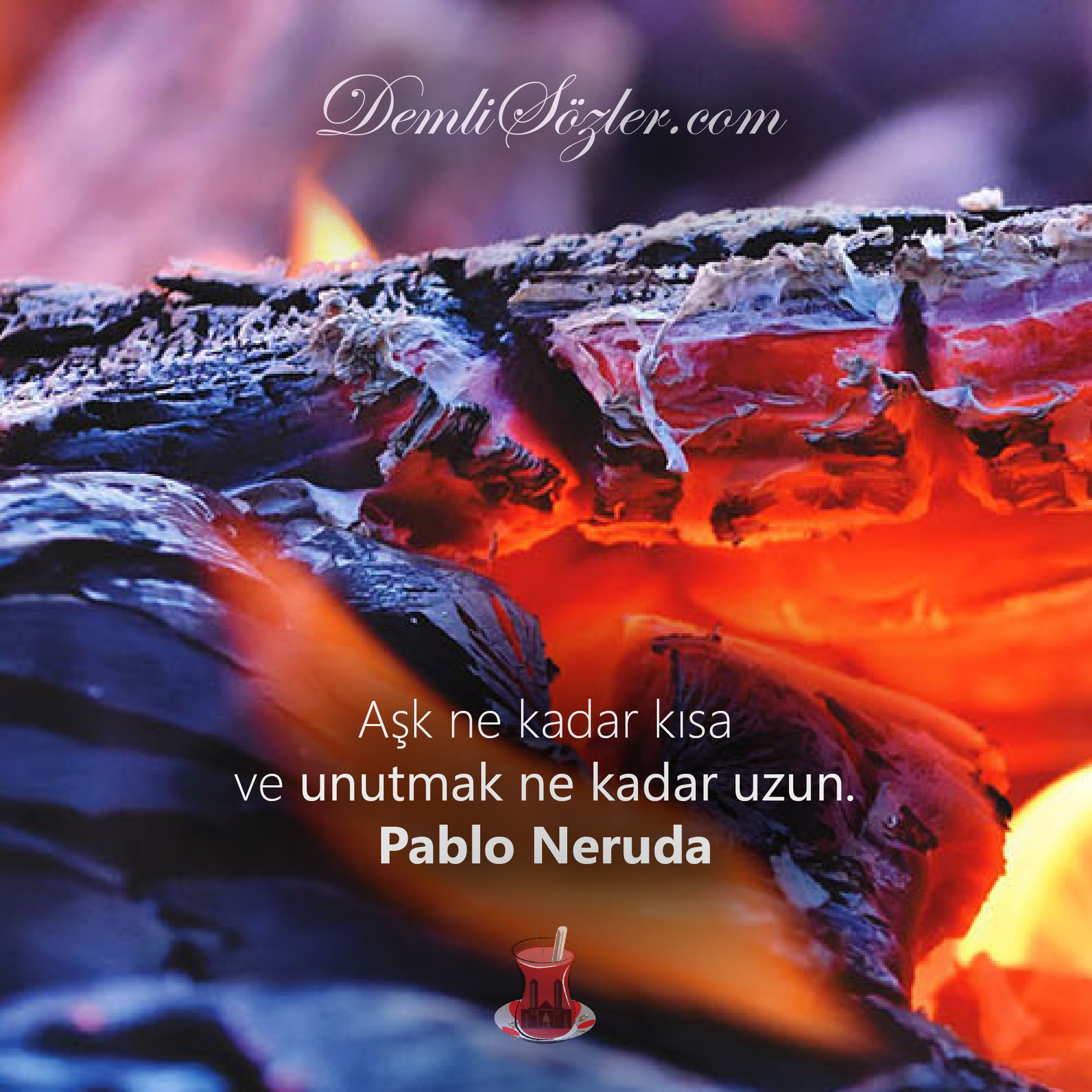 Aşk ne kadar kısa ve unutmak ne kadar uzun. - Pablo Neruda