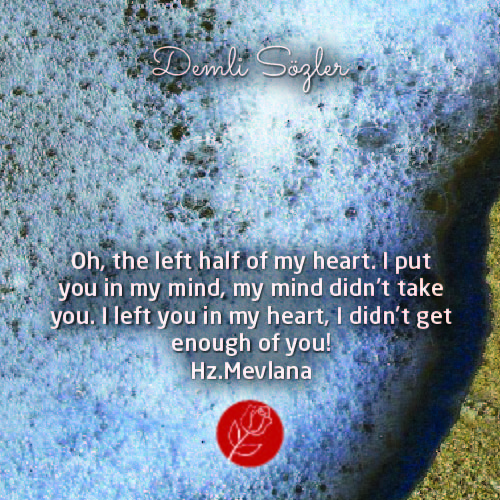 Oh, the left half of my heart. I put you in my mind, my mind didn't take you. I left you in my heart, I didn't get enough of you!