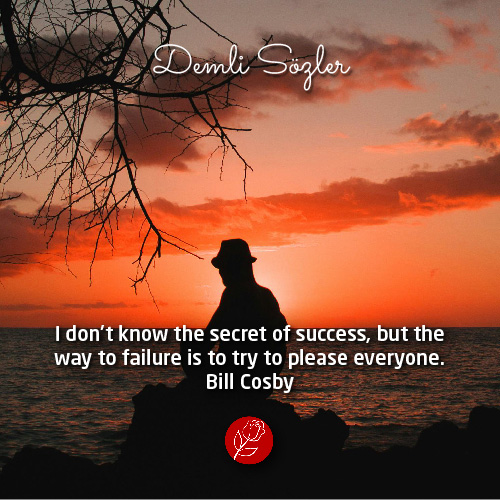 I don't know the secret of success, but the way to failure is to try to please everyone.