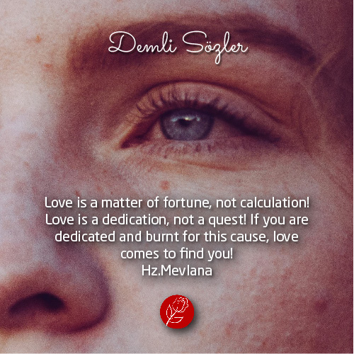 Love is a matter of fortune, not calculation! Love is a dedication, not a quest! If you are dedicated and burnt for this cause, love comes to find you!