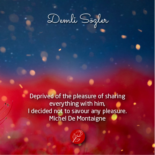 Deprived of the pleasure of sharing everything with him, I decided not to savour any pleasure.