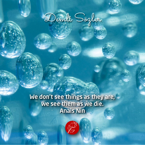We don't see things as they are, we see them as we die.