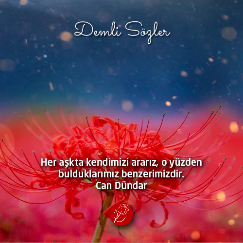 Her aşkta kendimizi ararız, o yüzden bulduklarımız benzerimizdir.