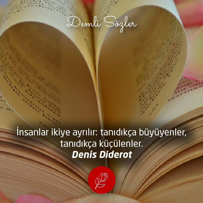İnsanlar ikiye ayrılır: tanıdıkça büyüyenler, tanıdıkça küçülenler. - Denis Diderot