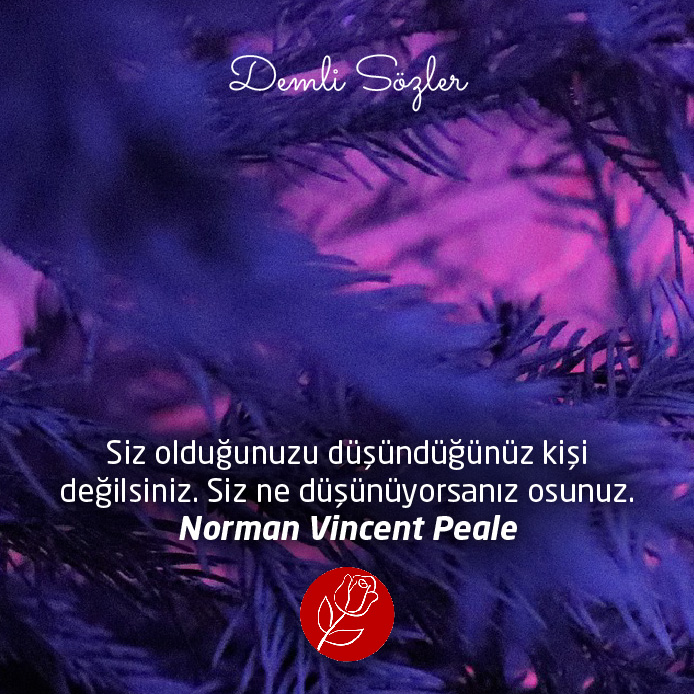 Siz olduğunuzu düşündüğünüz kişi değilsiniz. Siz ne düşünüyorsanız osunuz. - Norman Vincent Peale