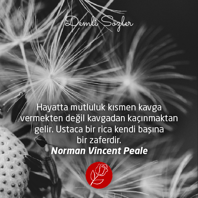 Hayatta mutluluk kısmen kavga vermekten değil kavgadan kaçınmaktan gelir. Ustaca bir rica kendi başına bir zaferdir. - Norman Vincent Peale