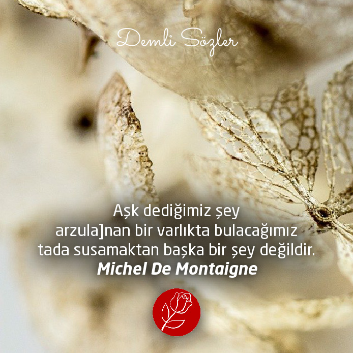 Aşk dediğimiz şey arzulanan bir varlıkta bulacağımız tada susamaktan başka bir şey değildir.