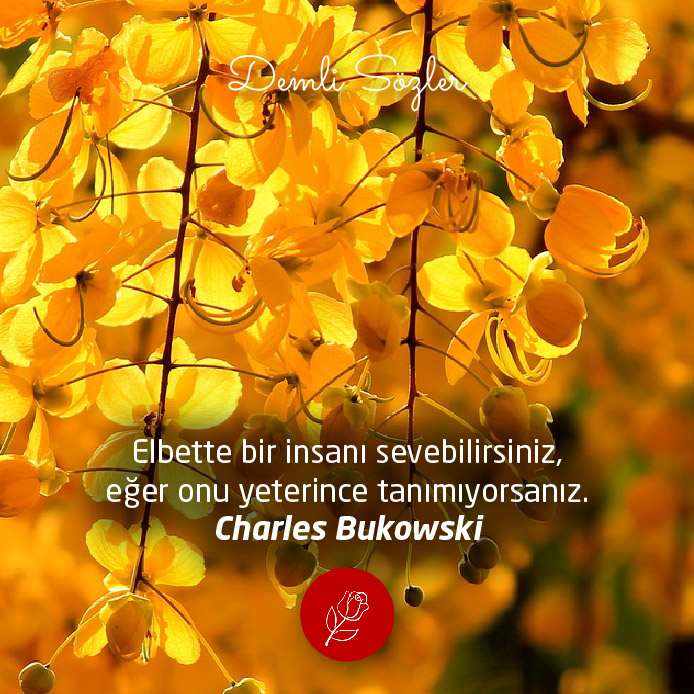 Elbette bir insanı sevebilirsiniz, eğer onu yeterince tanımıyorsanız. - Charles Bukowski