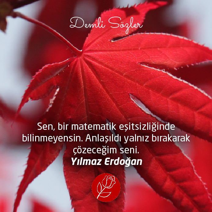 Sen, bir matematik eşitsizliğinde bilinmeyensin. Anlaşıldı yalnız bırakarak çözeceğim seni.