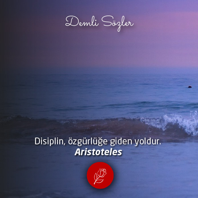 Disiplin, özgürlüğe giden yoldur. - Aristoteles