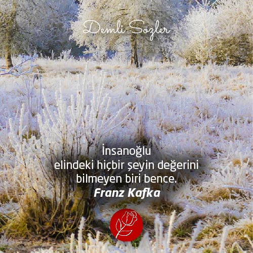 İnsanoğlu elindeki hiçbir şeyin değerini bilmeyen biri bence. - Franz Kafka