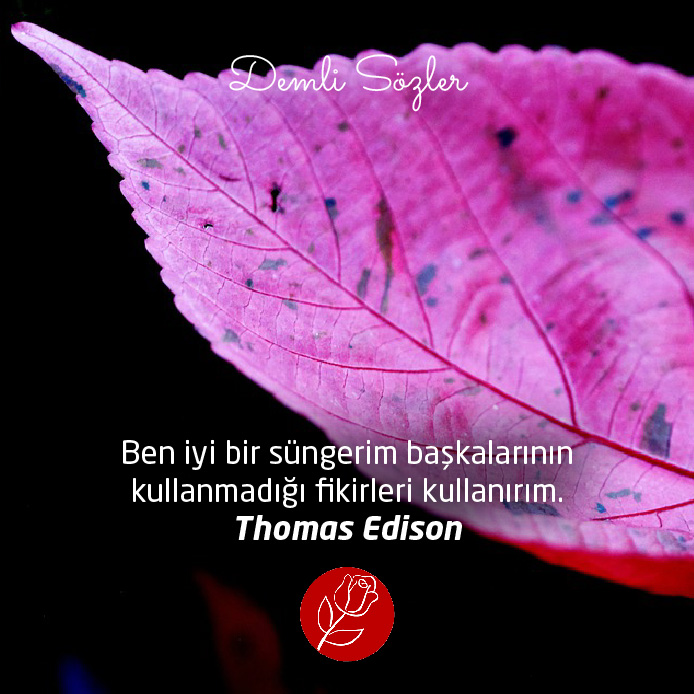Ben iyi bir süngerim başkalarının kullanmadığı fikirleri kullanırım. - Thomas Edison