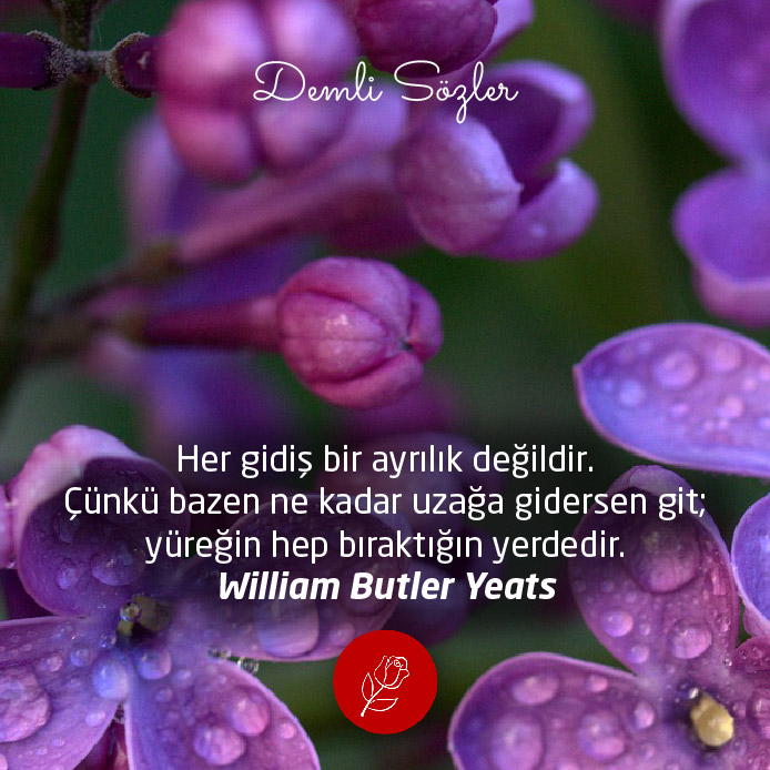 Her gidiş bir ayrılık değildir. Çünkü bazen ne kadar uzağa gidersen git; yüreğin hep bıraktığın yerdedir. - William Butler Yeats