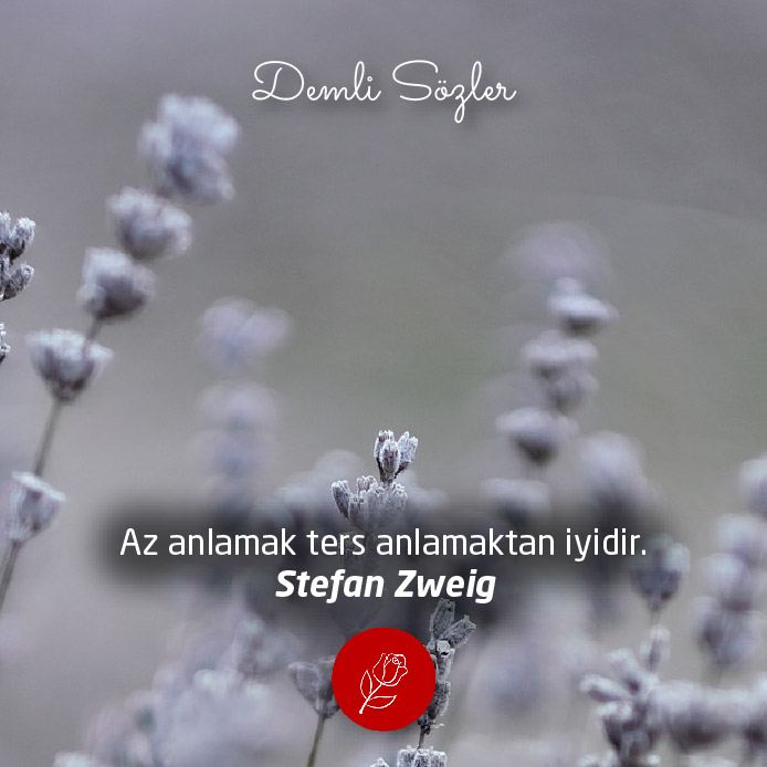 Az anlamak ters anlamaktan iyidir. - Stefan Zweig