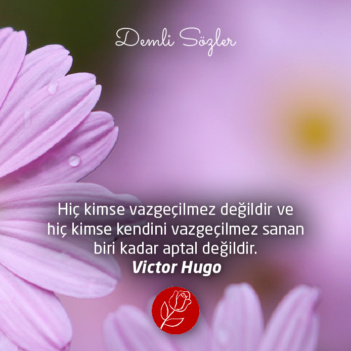Hiç kimse vazgeçilmez değildir ve hiç kimse kendini vazgeçilmez sanan biri kadar aptal değildir. - Victor Hugo