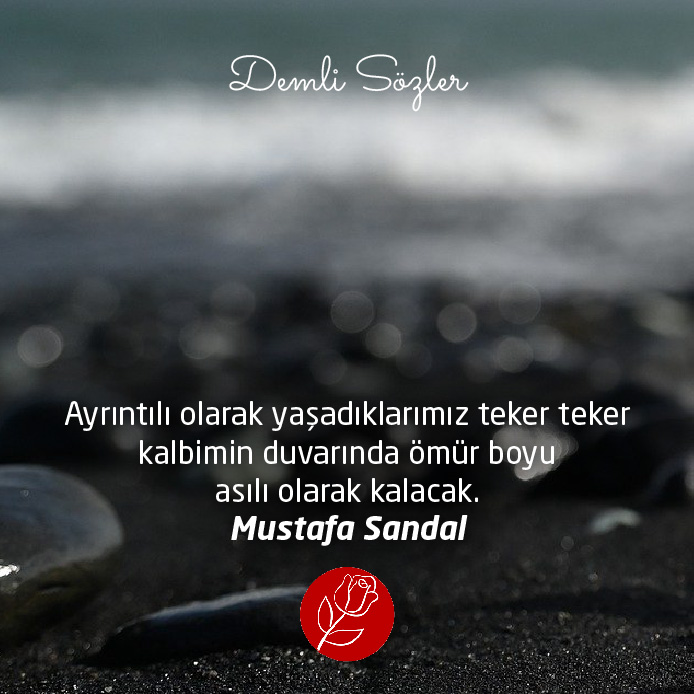 Ayrıntılı olarak yaşadıklarımız teker teker kalbimin duvarında ömür boyu asılı olarak kalacak. - Mustafa Sandal