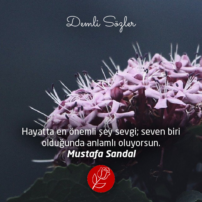 Hayatta en önemli şey sevgi; seven biri olduğunda anlamlı oluyorsun. - Mustafa Sandal