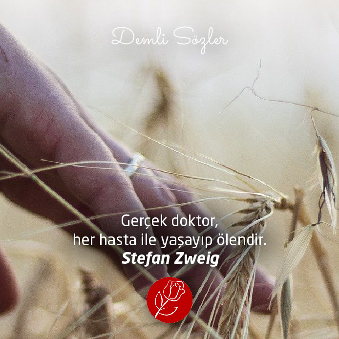 Gerçek doktor, her hasta ile yaşayıp ölendir. - Stefan Zweig