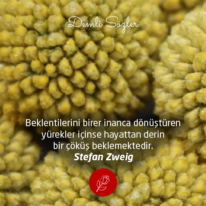  Beklentilerini birer inanca dönüştüren yürekler içinse hayattan derin bir çöküş beklemektedir.  - Stefan Zweig