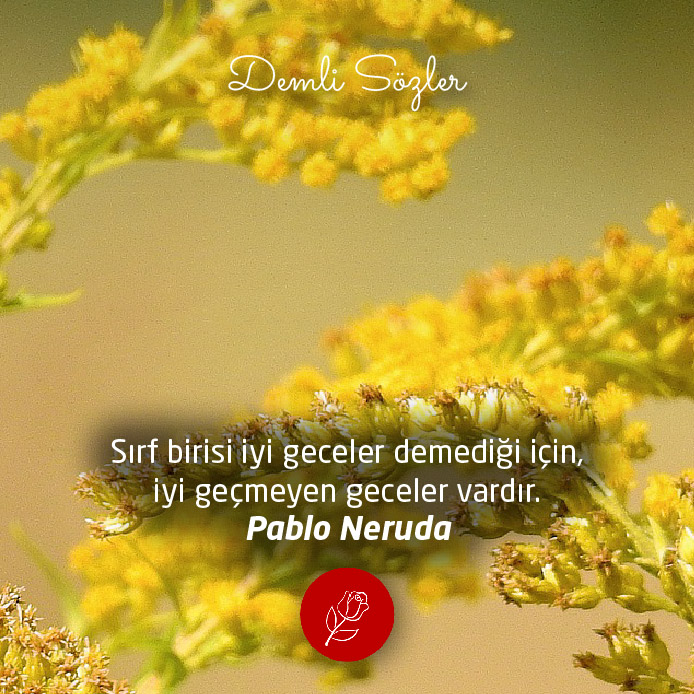 Sırf birisi iyi geceler demediği için, iyi geçmeyen geceler vardır. - Pablo Neruda
