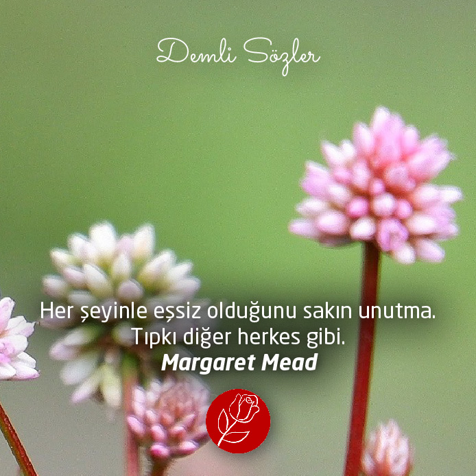 Her şeyinle eşsiz olduğunu sakın unutma. Tıpkı diğer herkes gibi. - Margaret Mead