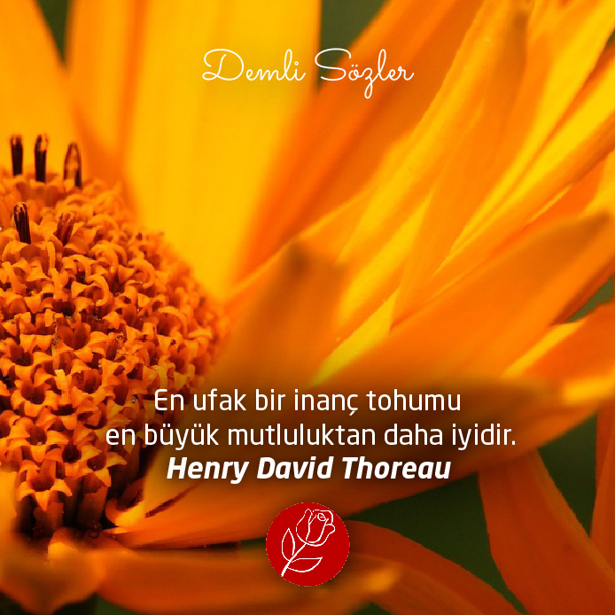 En ufak bir inanç tohumu en büyük mutluluktan daha iyidir. - Henry David Thoreau