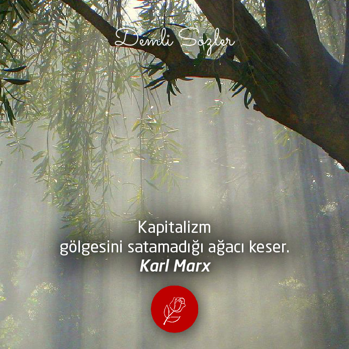 Kapitalizm gölgesini satamadığı ağacı keser. - Karl Marx