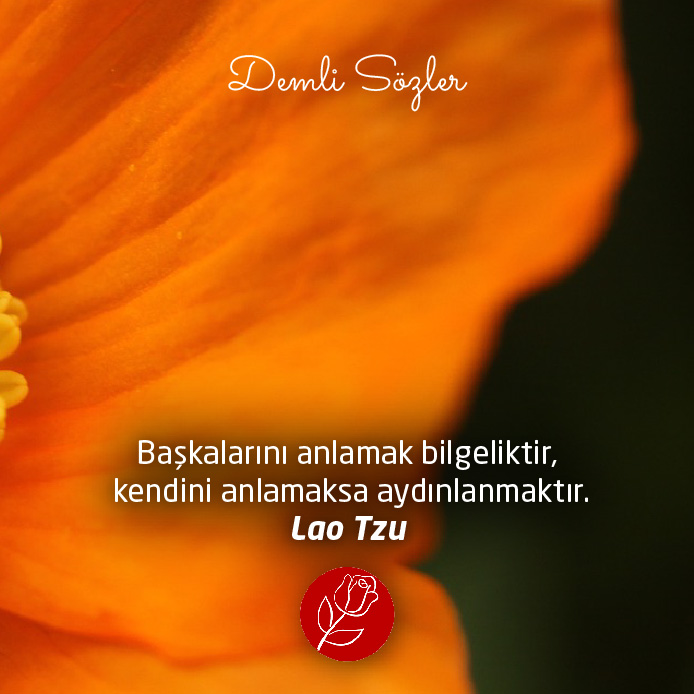 Başkalarını anlamak bilgeliktir, kendini anlamaksa aydınlanmaktır.