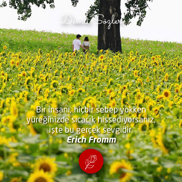 Bir insanı, hiçbir sebep yokken yüreğinizde sıcacık hissediyorsanız, işte bu gerçek sevgidir. - Erich Fromm