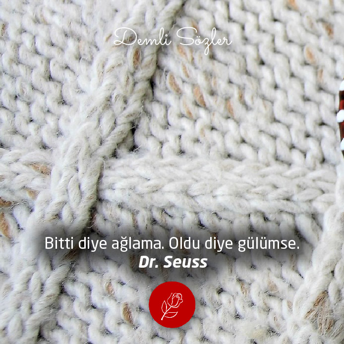 Bitti diye ağlama. Oldu diye gülümse. - Dr. Seuss