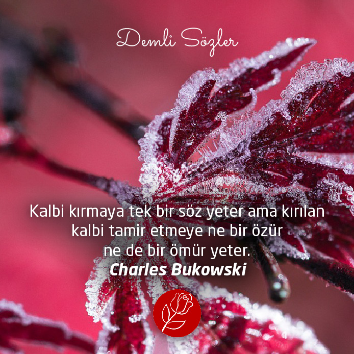 Kalbi kırmaya tek bir söz yeter ama kırılan kalbi tamir etmeye ne bir özür ne de bir ömür yeter. - Charles Bukowski