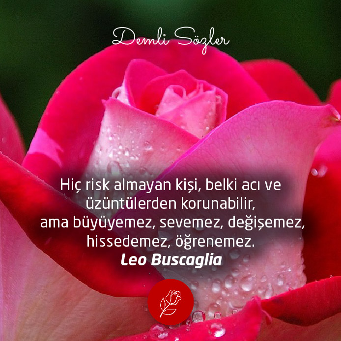 Hiç risk almayan kişi, belki acı ve üzüntülerden korunabilir, ama büyüyemez, sevemez, değişemez, hissedemez, öğrenemez. - Leo Buscaglia