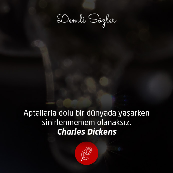 Aptallarla dolu bir dünyada yaşarken sinirlenmemem olanaksız. - Charles Dickens
